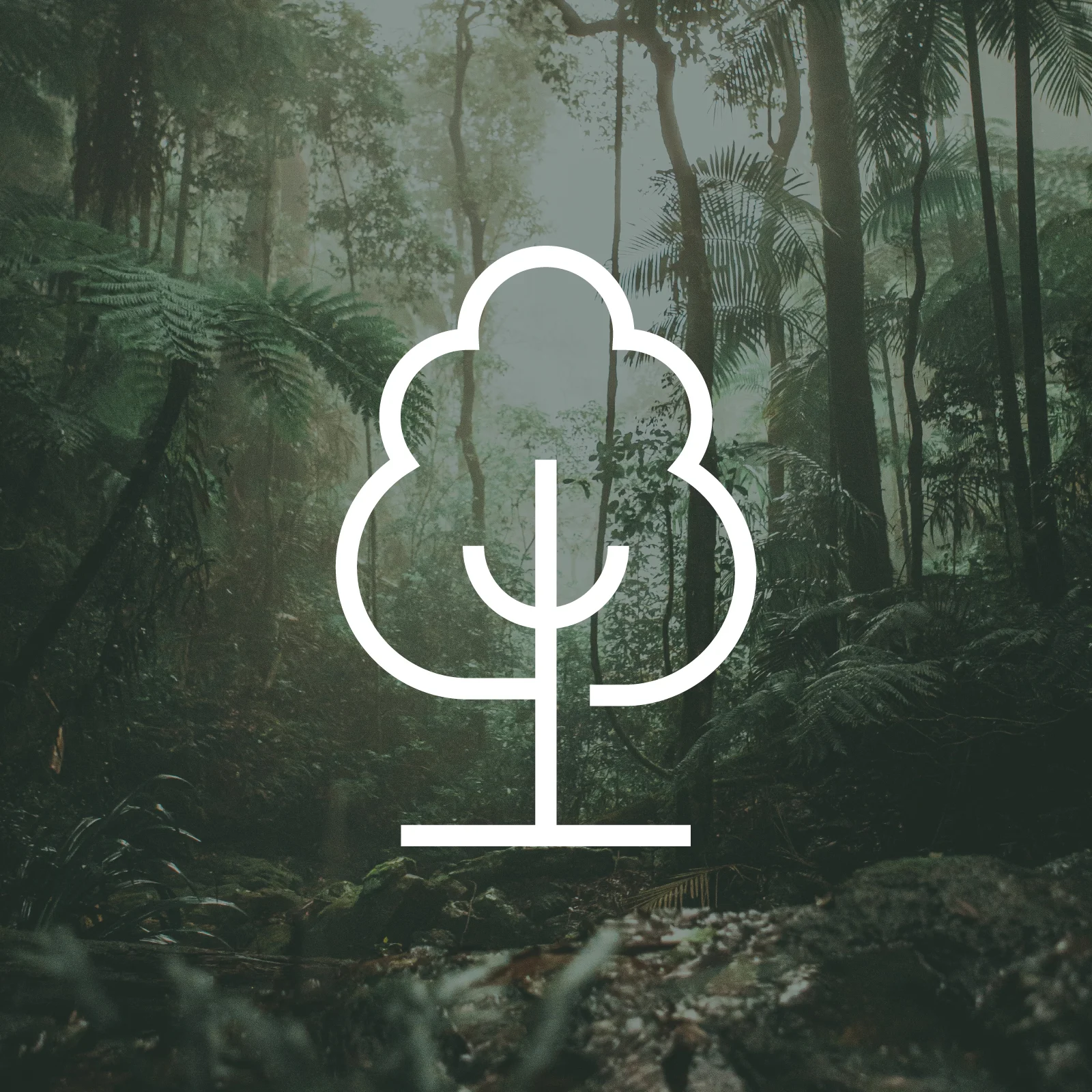 1 Tree Planted via THG (More Trees) Obraz 1