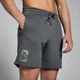 Męskie spodenki z kolekcji Origin Graphic MP – Washed Grey